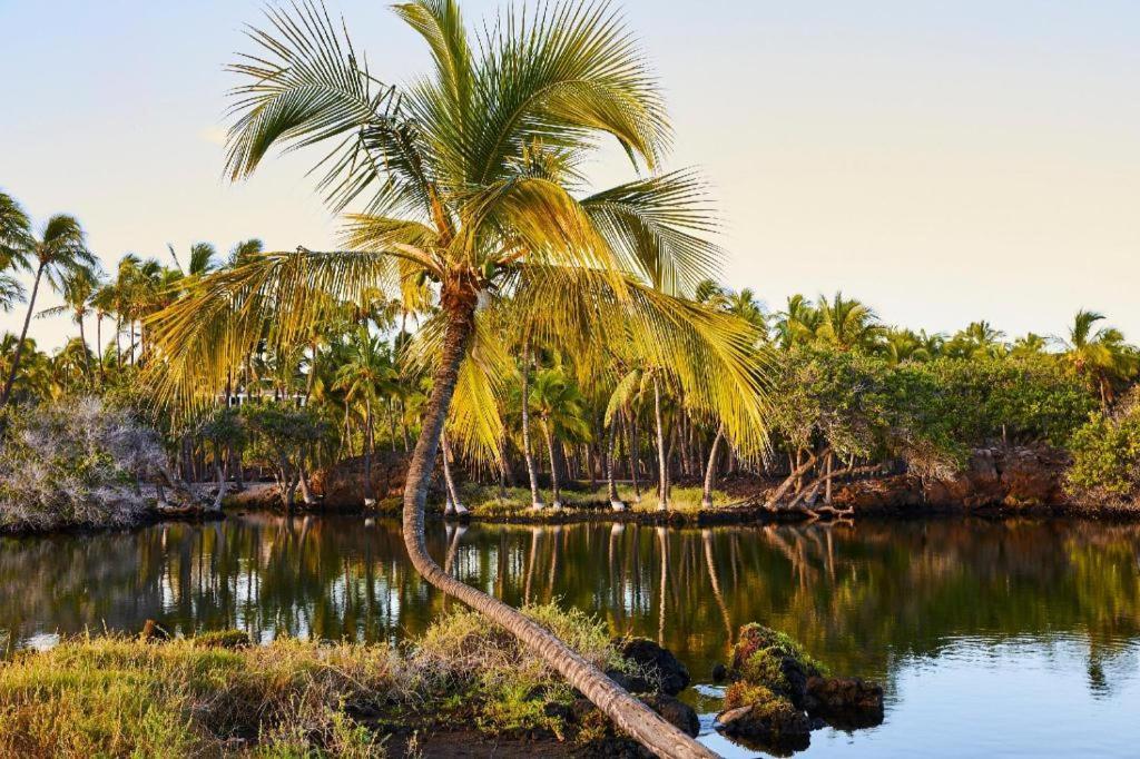 Mauna Lani, Collection