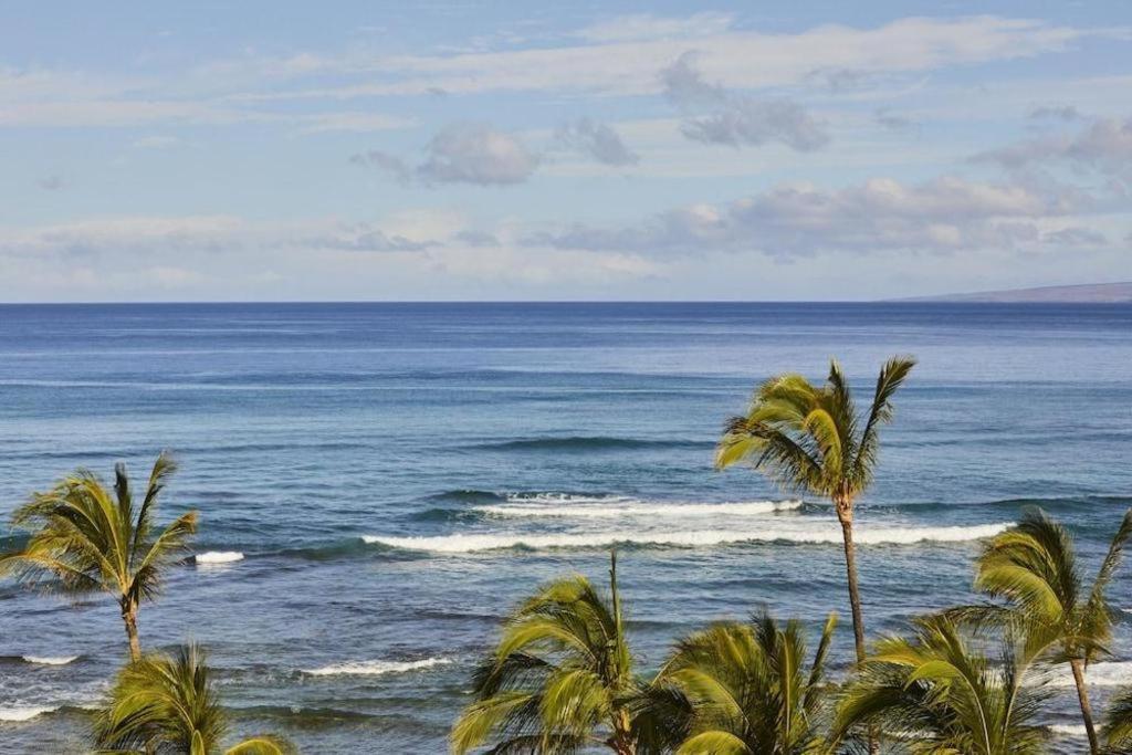 Mauna Lani, Collection